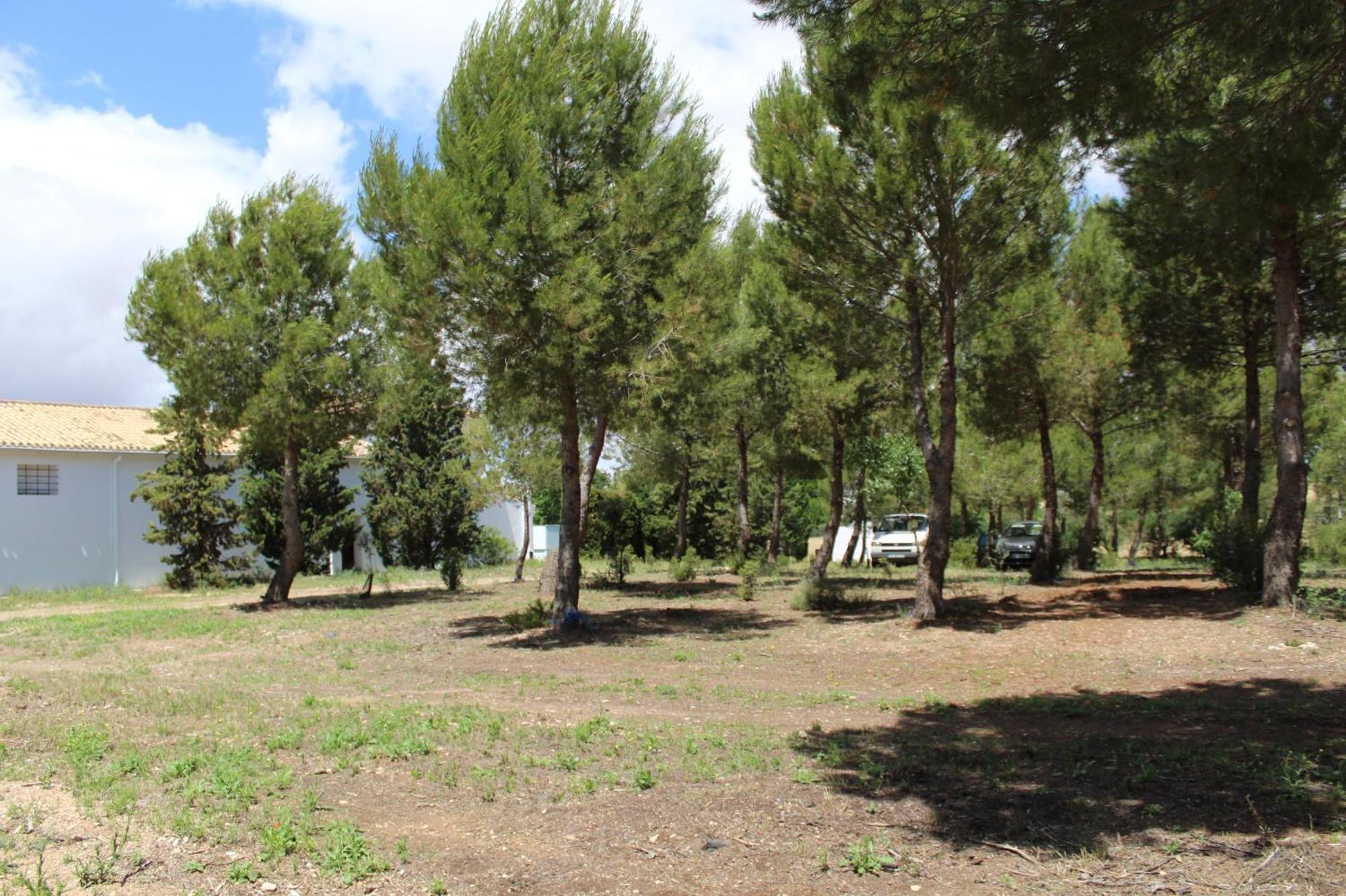La Casa Del Marques *