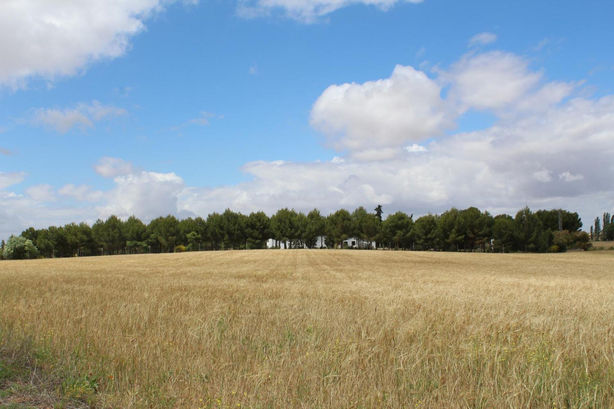 La Casa Del Marques Country house
